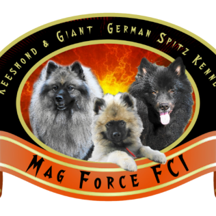 Mag Force FCI