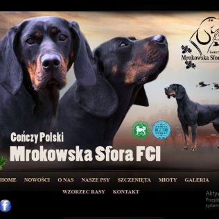 Mrokowska Sfora FCI