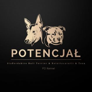 Potencjał