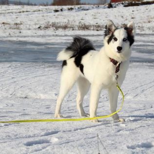 Princes of the Universe