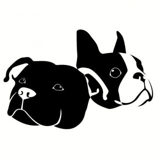 Psiara Maniakalna FCI