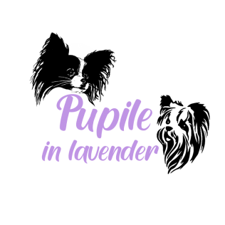 Pupile in Lavender