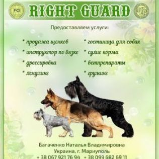 RIGHT GUARD
