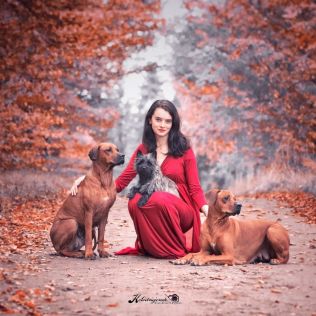 Sirius - Canis Maior