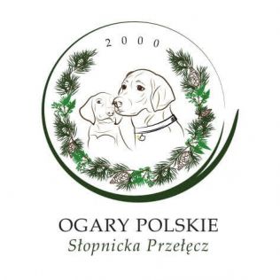 Słopnicka Przełęcz