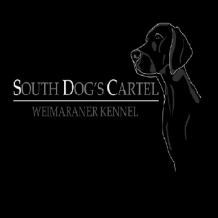 South Dog's Cartel