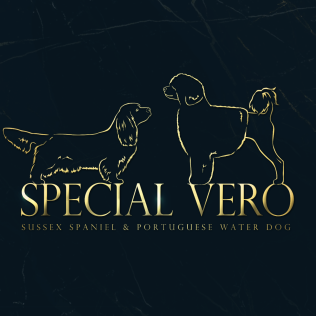 SPECIAL VERO
