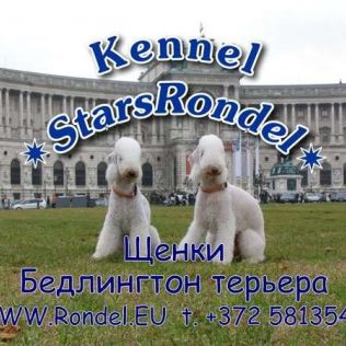 Stars Rondel