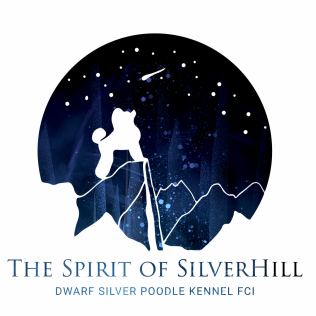 The Spirit of Silverhill