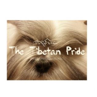 The Tibetan Pride /FCI/