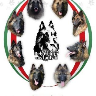 Veronika Vladár-Ludvai