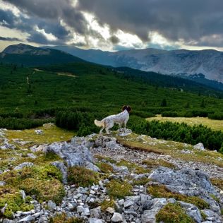 z Budišovské doliny