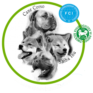 Z Lasów Godzieskich 