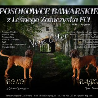 z Leśnego Zamczyska