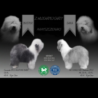 Z Włochatej Chaty FCI