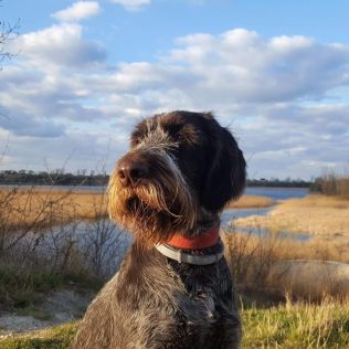 z Zielonej Ulicy (FCI)