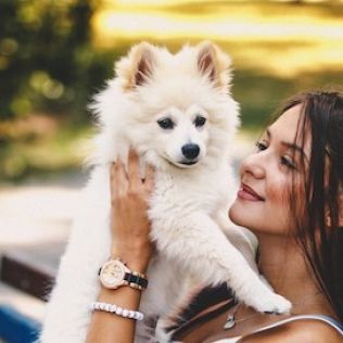 Spitz Pequeño Blanco (Spitz Alemán)