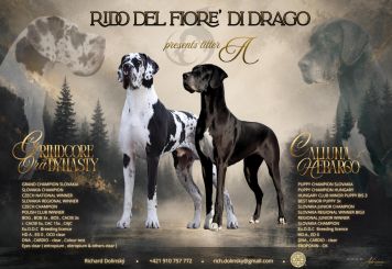 Litter A - RiDo del Fiore´di Drago
