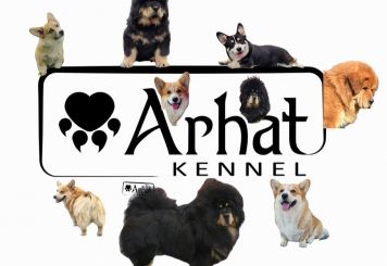 Arhat