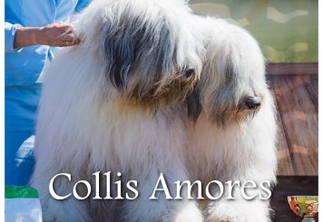 Collis Amores