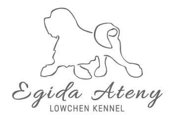 Egida Ateny FCI