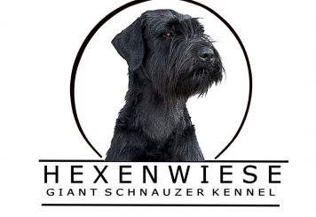 Hexenwiese