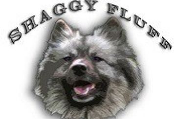 Shaggy Fluff