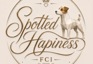 Spotted Happiness FCI