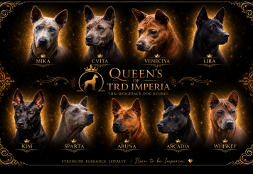 TRD IMPERIA 