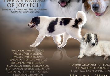 Twelve Moons of Joy FCI