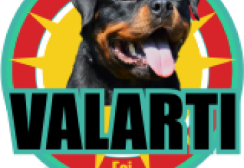 Valarti