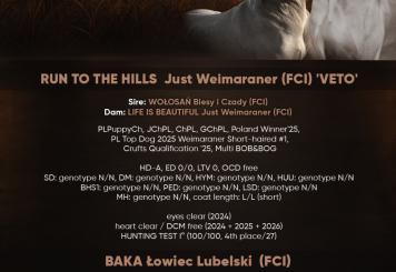 ze Stryszowskiego Boru FCI