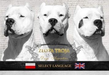 ZŁOTA TROJA 