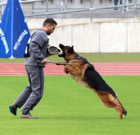  Bundessiegerzuchtschau 2019 fotorelacja
