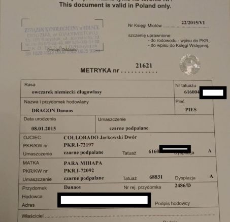 Rodowód psa. Czy warto go mieć? 