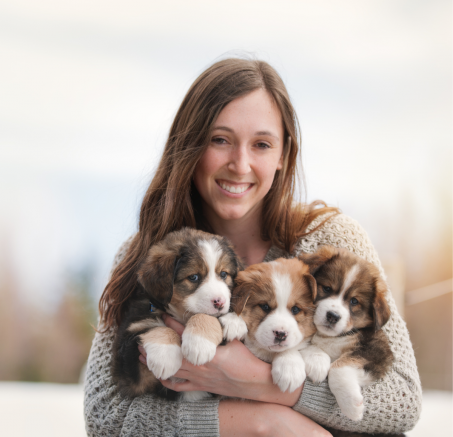 Błędy w wychowaniu szczeniąt – poznaj 8 najczęściej popełnianych błędów