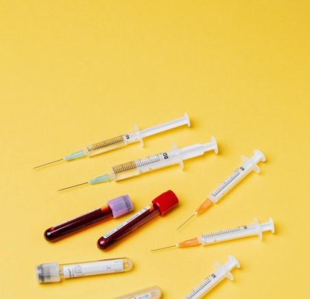 Choroby psów - najczęściej występujące schorzenia