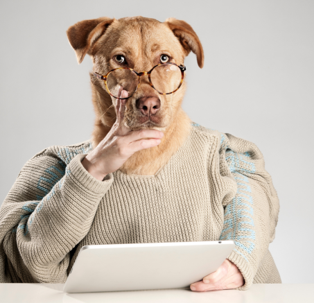 Co myśli Twój pies?