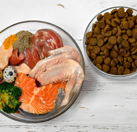 Co psy lubią jeść najbardziej?