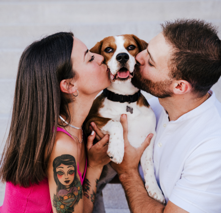 Czy mój pies mnie rozumie? O komunikacji między człowiekiem a psem