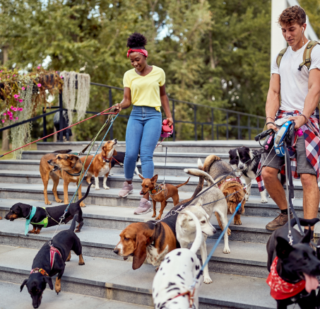 Czy warto mieć psa? Perspektywa wpływu na życie dorosłych i dzieci