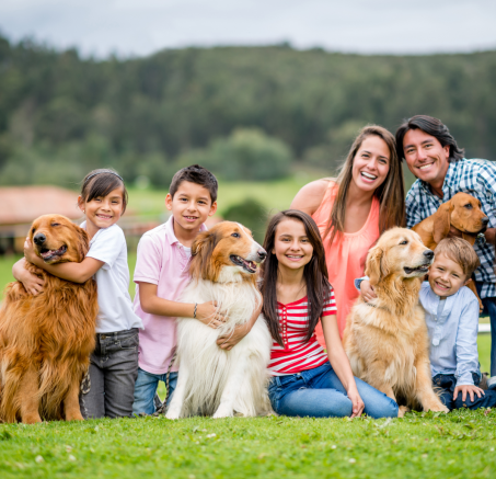 Dlaczego psy wybierają jednego członka rodziny na swojego ulubieńca?