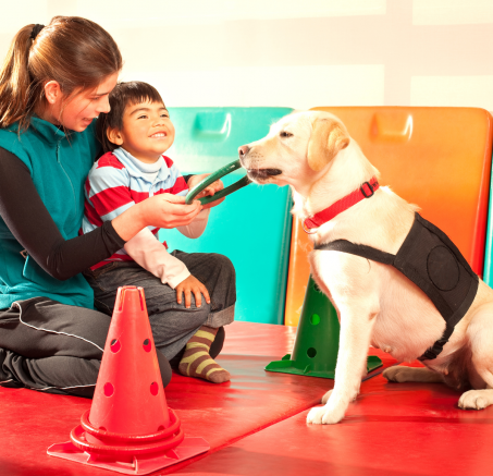 Dogoterapia: Jak psy pomagają w leczeniu i rehabilitacji ludzi ?