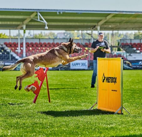 IGP-Mistrzostwa Polski 2021