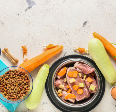 Jak wybrać idealną karmę dla swojego psa? O tym musisz wiedzieć!