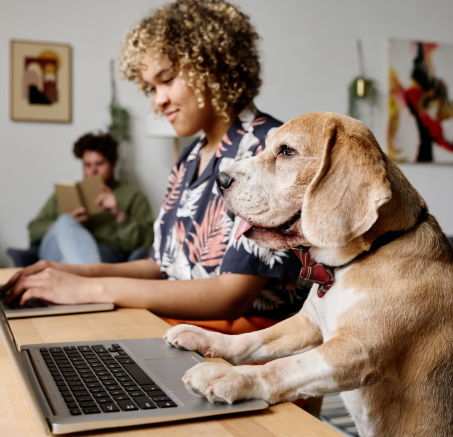 Jak zarządzać czasem między pracą, a opieką nad pupilem?