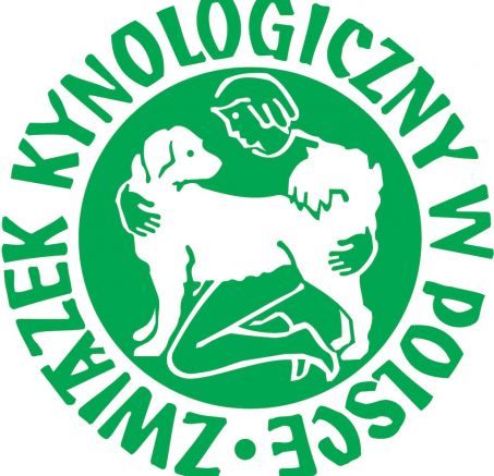 ​​Kompendium wiedzy: zakup rasowego psa