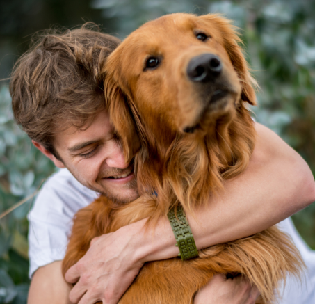 Mistrzowie węchu: Jak psy wykrywają choroby i ratują życie