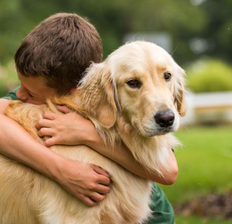 Najlepsze techniki budowania więzi z nowym psem.