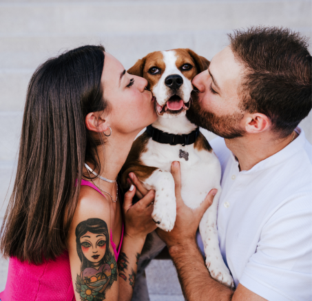 Obowiązki właściciela psa: Przewodnik dla odpowiedzialnych opiekunów